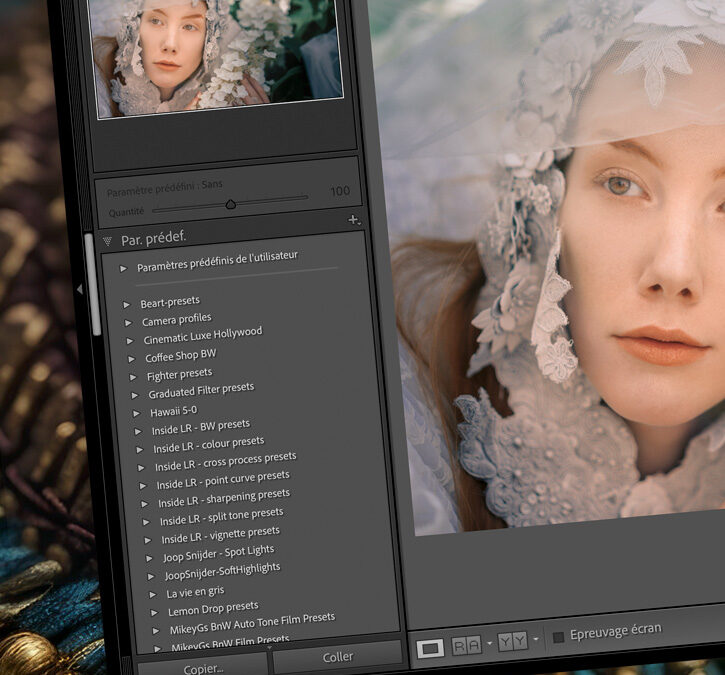 Réajuster les préréglages Lightroom avec de nouveaux profils d’appareil photo